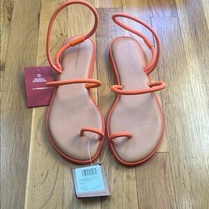 Havaianas Women's Pitango Orange Sandals